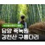 [KTX동대구역/울산역/부산역] 담양 죽녹원&메타세콰이어&강천산 구름다리 당일 기차여행-중식제공