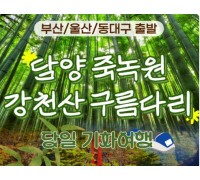 [KTX/부산,울산출발] 초록여행! 담양(죽녹원 & 메타세콰이어) ★ 강천산 구름다리 (당일)-중식포함