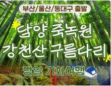 [KTX/부산,울산출발] 초록여행! 담양(죽녹원 & 메타세콰이어) ★ 강천산 구름다리 (당일)-중식포함