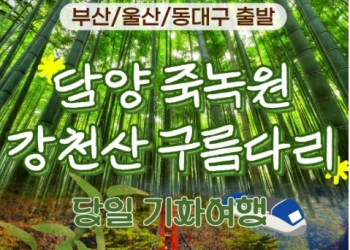 [KTX/부산,울산출발] 초록여행! 담양(죽녹원 & 메타세콰이어) ★ 강천산 구름다리 (당일)-중식포함