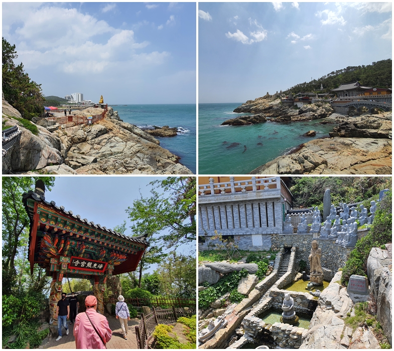 KTX◈경상 환타지아◈포항/울산/부산/경주 2박3일 @호텔 다움 2박
