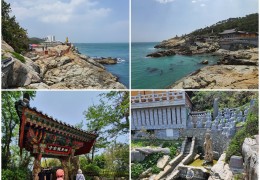 KTX◈경상 환타지아◈포항/울산/부산/경주 2박3일 @호텔 다움 2박