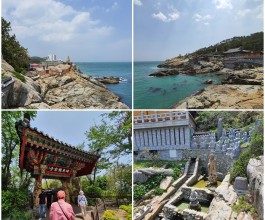 KTX◈경상 환타지아◈포항/울산/부산/경주 2박3일 @호텔 다움 2박