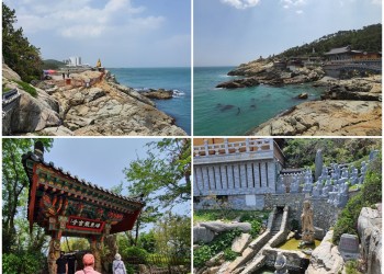 KTX◈경상 환타지아◈포항/울산/부산/경주 2박3일 @호텔 다움 2박