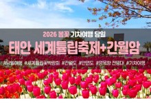 [경상권/충청권/수도권출발] 태안 세계튤립꽃박람회&간월암(당일)