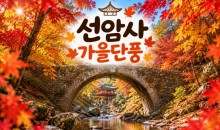 [수도권/충청권/경상권출발] ★가을단풍★선암사&낙안읍성(당일)