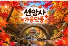 [수도권/충청권/경상권출발] ★가을단풍★선암사&낙안읍성(당일)