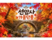 [수도권/충청권/경상권출발] ★가을단풍★선암사&낙안읍성(당일)
