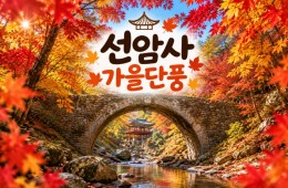 [수도권/충청권/경상권출발] ★가을단풍★선암사&낙안읍성(당일)