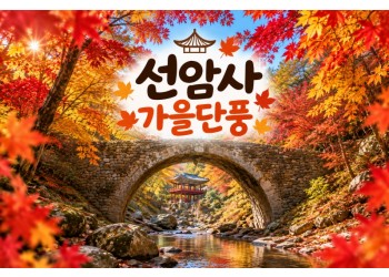 [수도권/충청권/경상권출발] ★가을단풍★선암사&낙안읍성(당일)