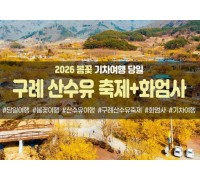 봄꽃-구례 산수유 축제&화엄사(당일)