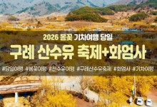 봄꽃-구례 산수유 축제&화엄사(당일)