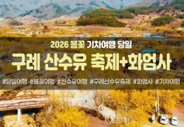 봄꽃-구례 산수유 축제&화엄사(당일)