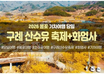 봄꽃-구례 산수유 축제&화엄사(당일)