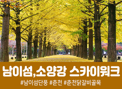 남이섬&춘천 소양강 스카이워크(당일)