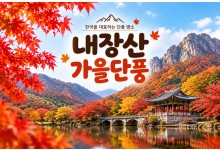 ★가을단풍★내장산&백양사 애기단풍(당일)