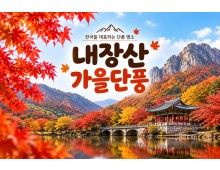 ★가을단풍★내장산&백양사 애기단풍(당일)