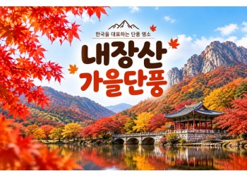 ★가을단풍★내장산&백양사 애기단풍(당일)