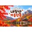 ★가을단풍★내장산&백양사 애기단풍(당일)