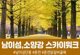 남이섬&춘천 소양강 스카이워크(당일)