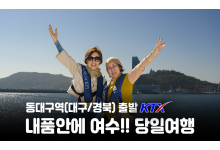 [동대구역출발] 내품안에 여수!!~당일여행 여수 알짜베기 당일투어!! (요트세일링>자유중식 및 수산시장>해상케이블카>오동도)