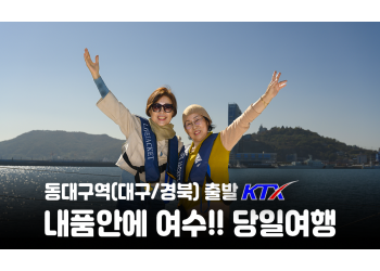 [동대구역출발] 내품안에 여수!!~당일여행 여수 알짜베기 당일투어!! (요트세일링>자유중식 및 수산시장>해상케이블카>오동도)